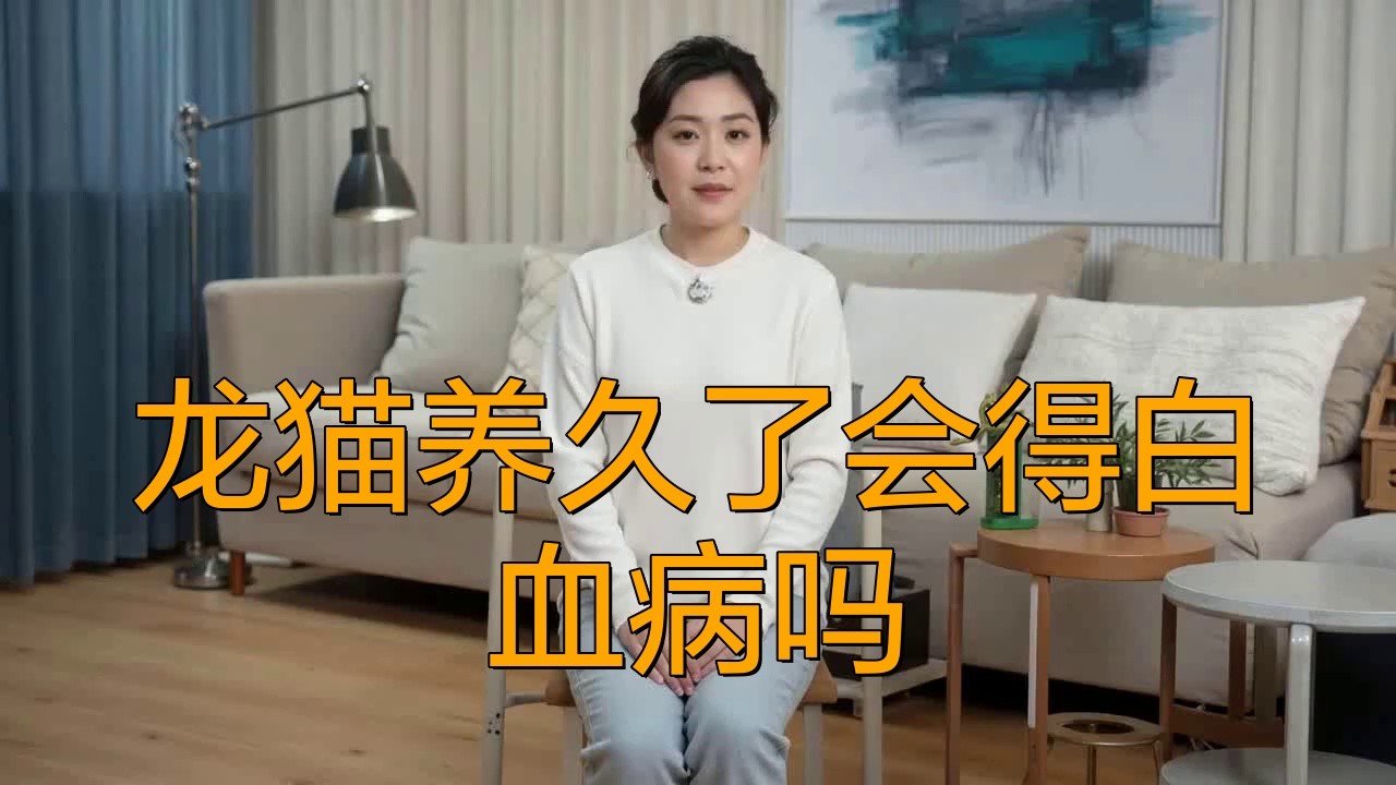 龍貓養久了會得白血病嗎【龍貓養久了會得白血病嗎萌寵專家貓貓也會患白血病嗎】