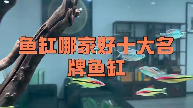頂級魚缸品牌第一名【頂級魚缸品牌】