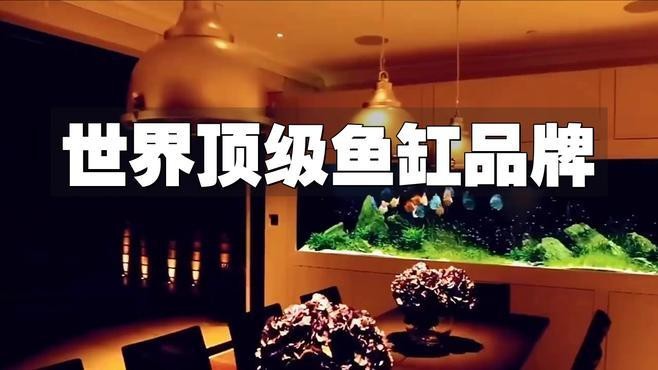 頂級魚缸品牌第一名【頂級魚缸品牌】