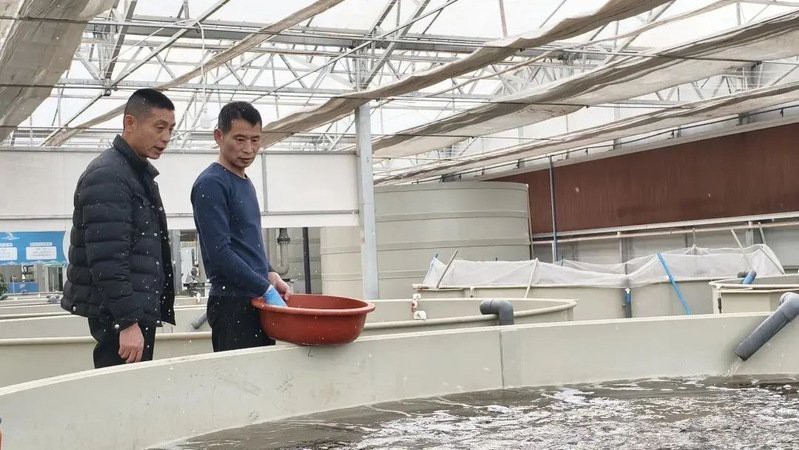 阿克蘇龍魚店【阿克蘇地區有哪些特色魚種】 阿克蘇龍魚店【阿克蘇地區有哪些特色魚種】 全國水族館企業名錄 第1張