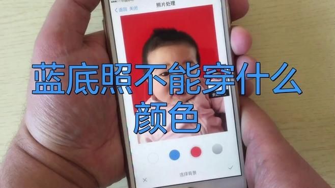 藍底過背最忌三種顏色【《藍底過背最忌三種顏色》】