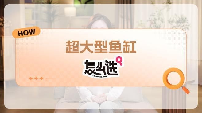 魚缸尺寸過大有哪些具體問題?【東臺達味60x35x40魚缸尺寸最忌三種閑人煮藝】 龍魚百科 第4張 魚缸尺寸過大有哪些具體問題?【東臺達味60x35x40魚缸尺寸最忌三種閑人煮藝】 魚缸尺寸過大有哪些具體問題?【東臺達味60x35x40魚缸尺寸最忌三種閑人煮藝】 龍魚百科 第4張