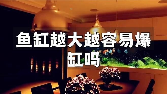 魚缸尺寸過大有哪些具體問題?【東臺達味60x35x40魚缸尺寸最忌三種閑人煮藝】 龍魚百科 第2張 魚缸尺寸過大有哪些具體問題?【東臺達味60x35x40魚缸尺寸最忌三種閑人煮藝】 魚缸尺寸過大有哪些具體問題?【東臺達味60x35x40魚缸尺寸最忌三種閑人煮藝】 龍魚百科 第2張