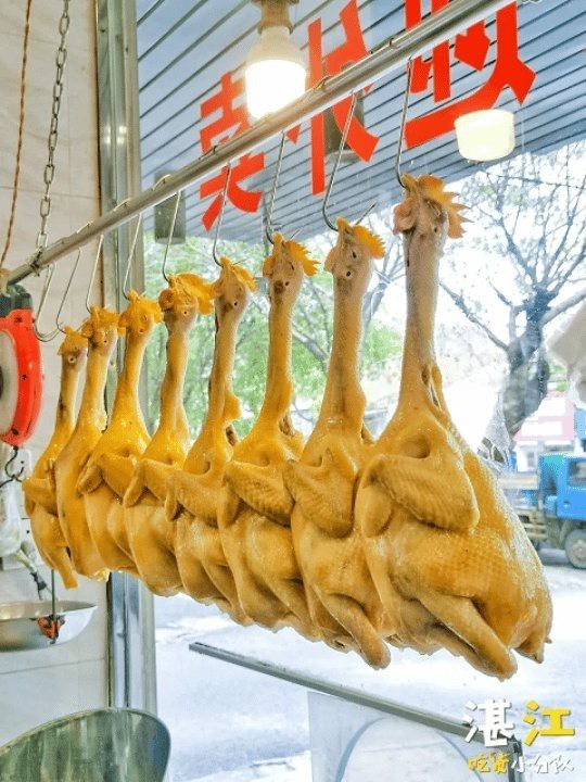 赤坎龍魚店【湛江赤坎日料自助餐:高性價比美食體驗小糖葫蘆道王師姐名雅咖啡】