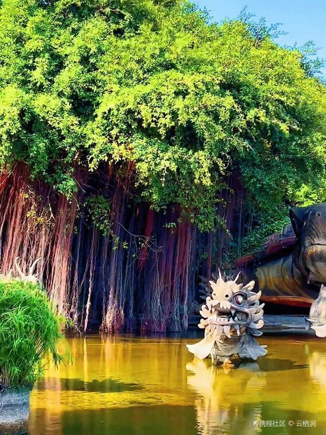 赤坎龍魚店【湛江赤坎日料自助餐:高性價比美食體驗小糖葫蘆道王師姐名雅咖啡】