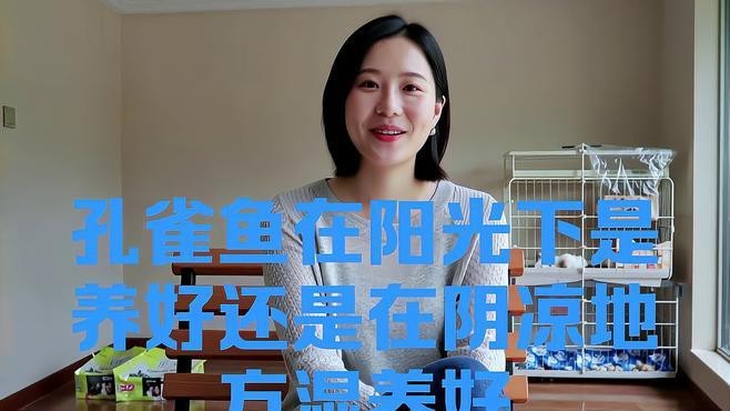 孔雀魚放陽臺會曬死嗎【孔雀魚放陽臺會曬死嗎孔雀魚放陽臺會曬死嗎】