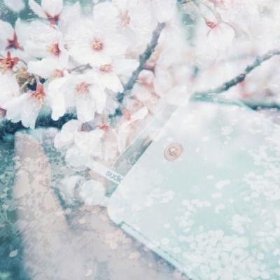 錦鯉白色的頭不能亂養(yǎng)【《錦鯉白色的頭不能亂養(yǎng)》】