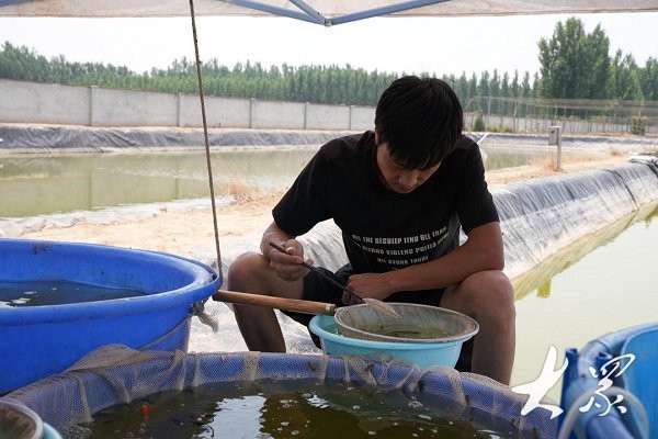 高唐龍魚店【水族世界的奇妙角落——高唐龍魚店】