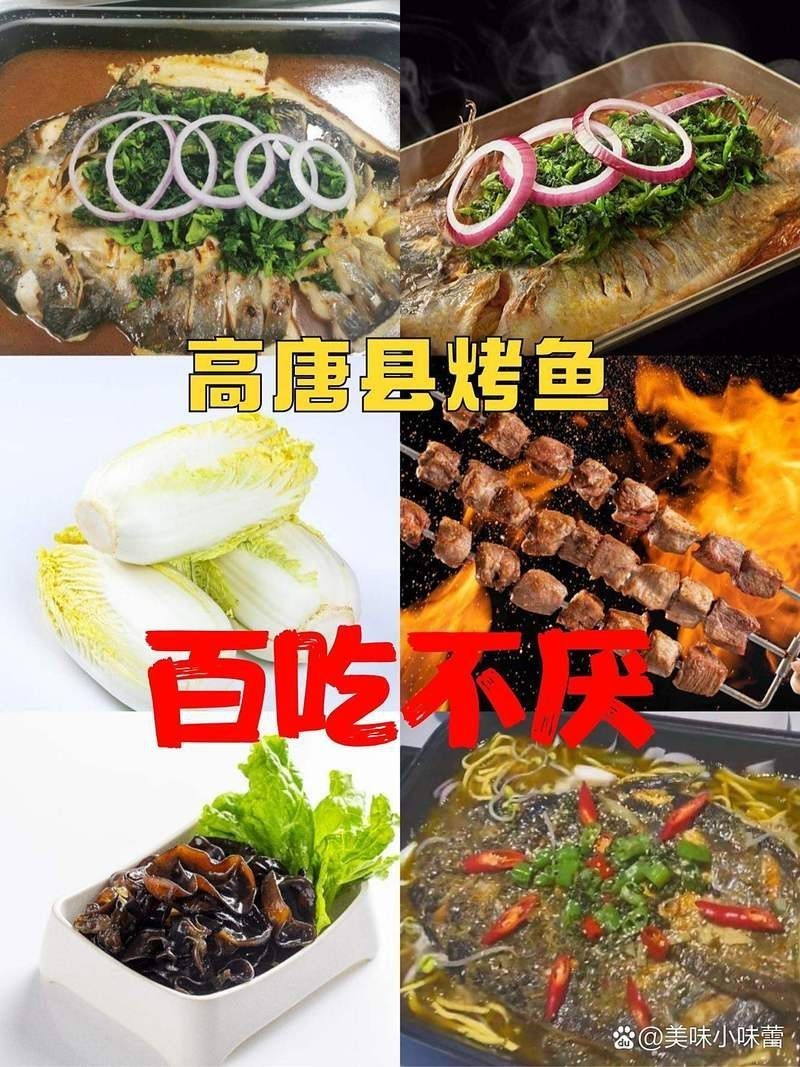 高唐龍魚店【水族世界的奇妙角落——高唐龍魚店】
