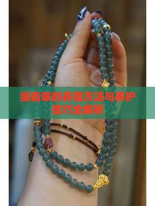 綠翡翠魚最怕三種魚【孔雀魚和什么魚可以混養選對5種魚避開4類天敵3步搞定】