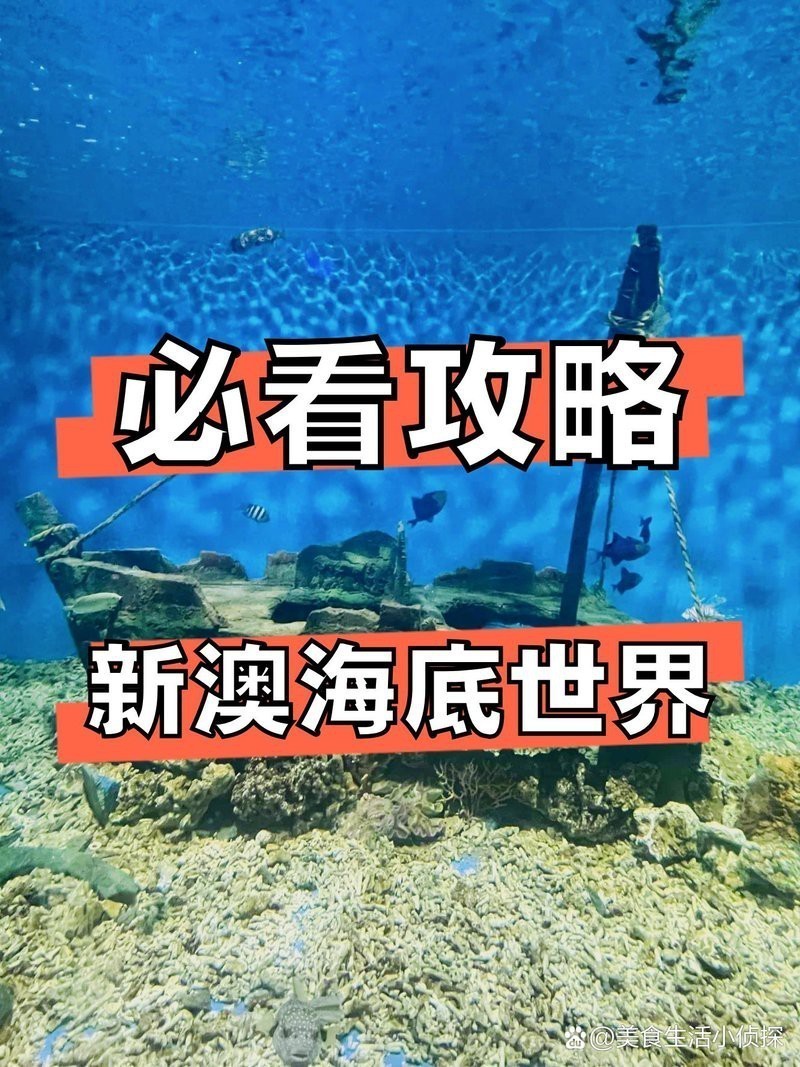 秦皇島水族店【秦皇島新澳海底世界有哪些水族店新澳海底世界有哪些特色】 秦皇島水族店【秦皇島新澳海底世界有哪些水族店新澳海底世界有哪些特色】 全國水族館企業名錄 第3張
