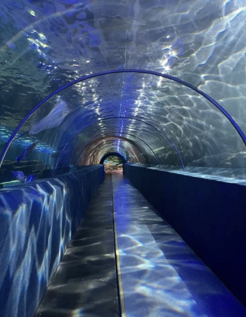 秦皇島水族店【秦皇島新澳海底世界有哪些水族店新澳海底世界有哪些特色】 秦皇島水族店【秦皇島新澳海底世界有哪些水族店新澳海底世界有哪些特色】 全國水族館企業名錄 第4張