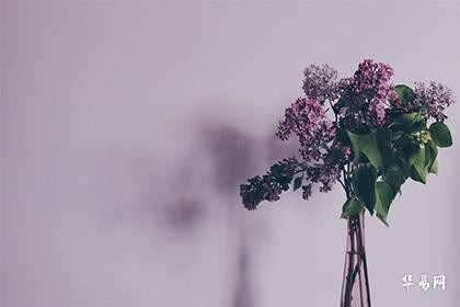 紅眼龍與哪些生肖相克【屬龍的和什么屬相最配、相克，屬相相克如何化解】