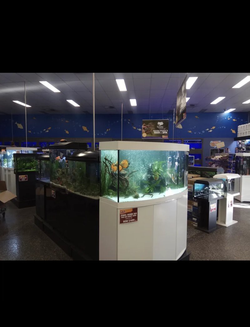 郊區水族店【郊區水族店：隱匿角落的奇妙水世界】
