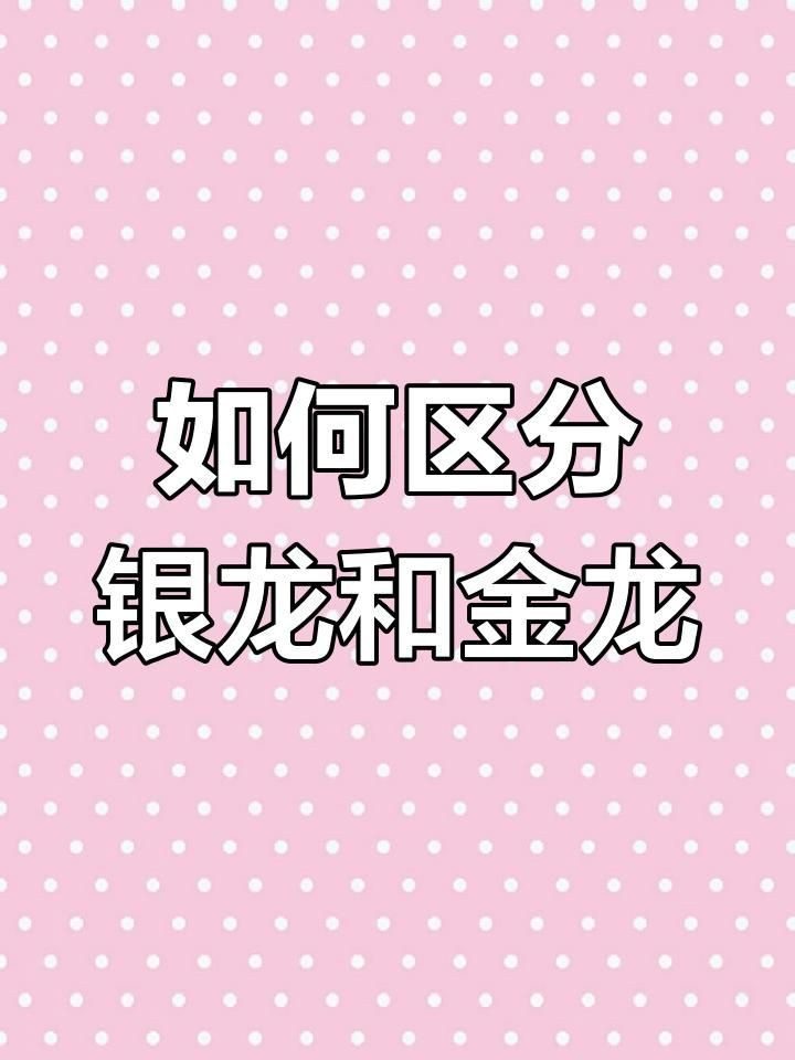 金龍魚與銀龍魚區別【金龍魚與銀龍魚的區別】
