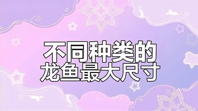 金龍魚與銀龍魚區別【金龍魚與銀龍魚的區別】