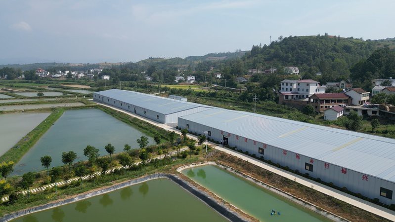 房縣水族店【房縣有哪些知名的水族店】