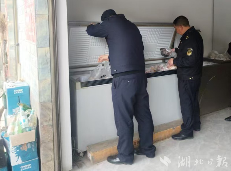 房縣水族店【房縣有哪些知名的水族店】