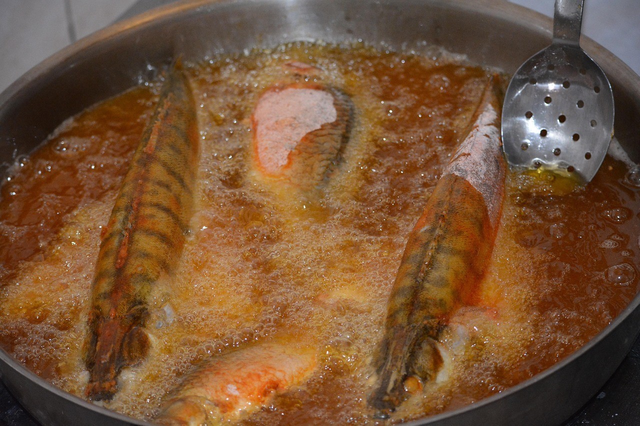 龍魚是淡水魚還是海水魚【龍魚在淡水與海水中的生長速度差異】