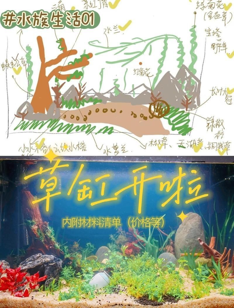 紅眼白子關刀適合80魚缸養嗎【紅眼白子關刀魚是否適合飼養】