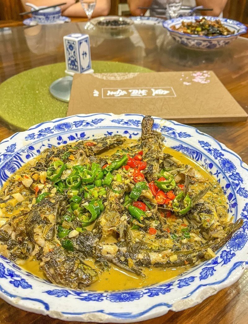 鄱陽龍魚店【鄱陽龍魚店，水族世界的奇妙角落】