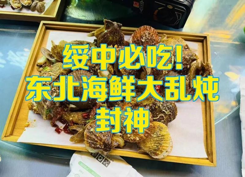 綏中龍魚店【綏中龍魚店——水族世界的奇妙角落】