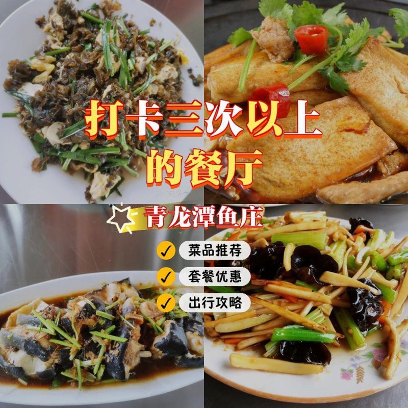 青原龍魚店【新湖南青原龍魚店營業時間是什么】
