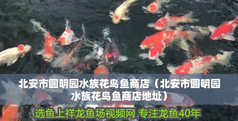 黑河水族店【黑河水族店推薦】