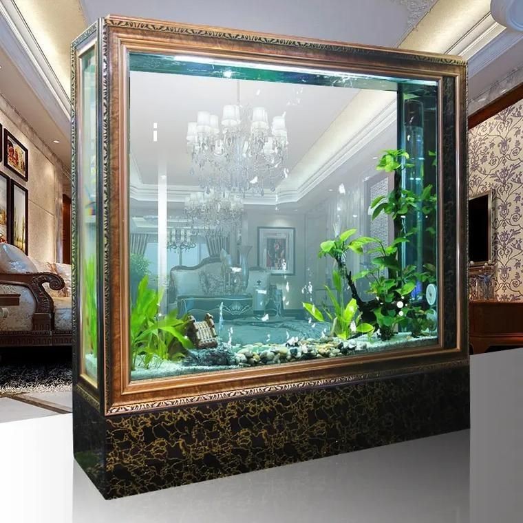 龍魚缸擺放位置風水圖片【龍魚缸擺放位置在風水學說中頗具講究，龍魚缸擺放位置在風水學說】 龍魚缸擺放位置風水圖片【龍魚缸擺放位置在風水學說中頗具講究，龍魚缸擺放位置在風水學說】 龍魚百科 第20張