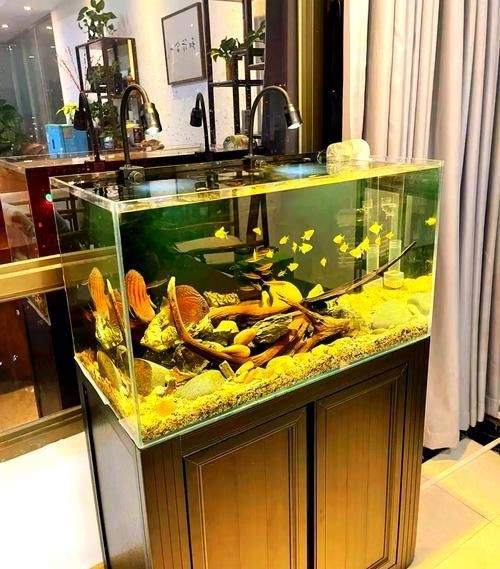 龍魚缸擺放位置風水圖片【龍魚缸擺放位置在風水學說中頗具講究，龍魚缸擺放位置在風水學說】 龍魚缸擺放位置風水圖片【龍魚缸擺放位置在風水學說中頗具講究，龍魚缸擺放位置在風水學說】 龍魚百科 第27張