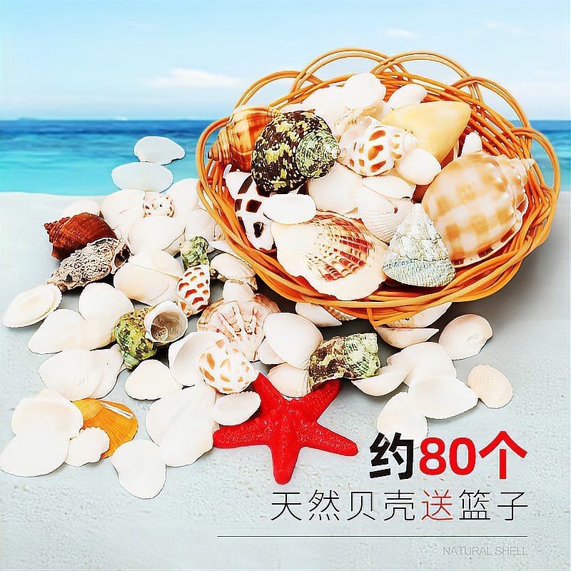 沙洋水族店【水下世界的奇妙窗口】