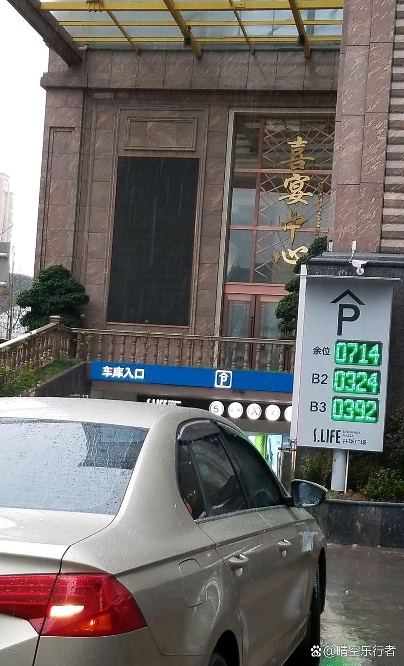 達州龍魚店【達州哪家魚店口碑最好】