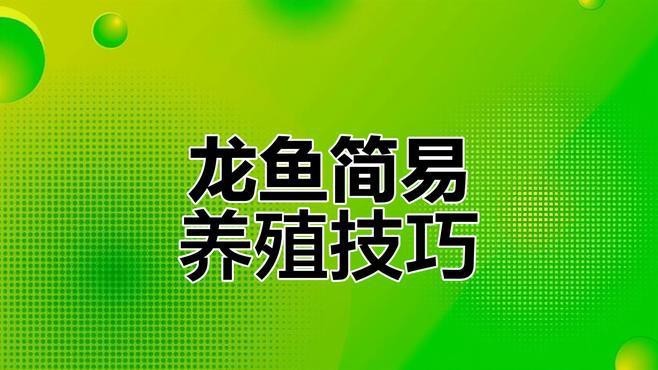 金龍魚飼養需要哪些過濾器材？【金龍魚飼養過程中過濾器材的選擇至關重要，金龍魚過濾系統選擇全攻略】