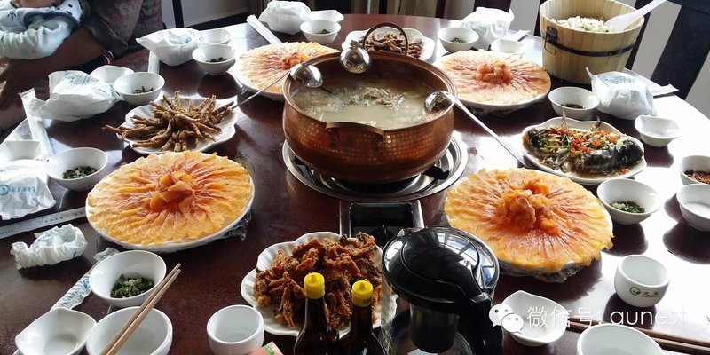 石鼓龍魚(yú)店【東莞石鼓龍魚(yú)店】