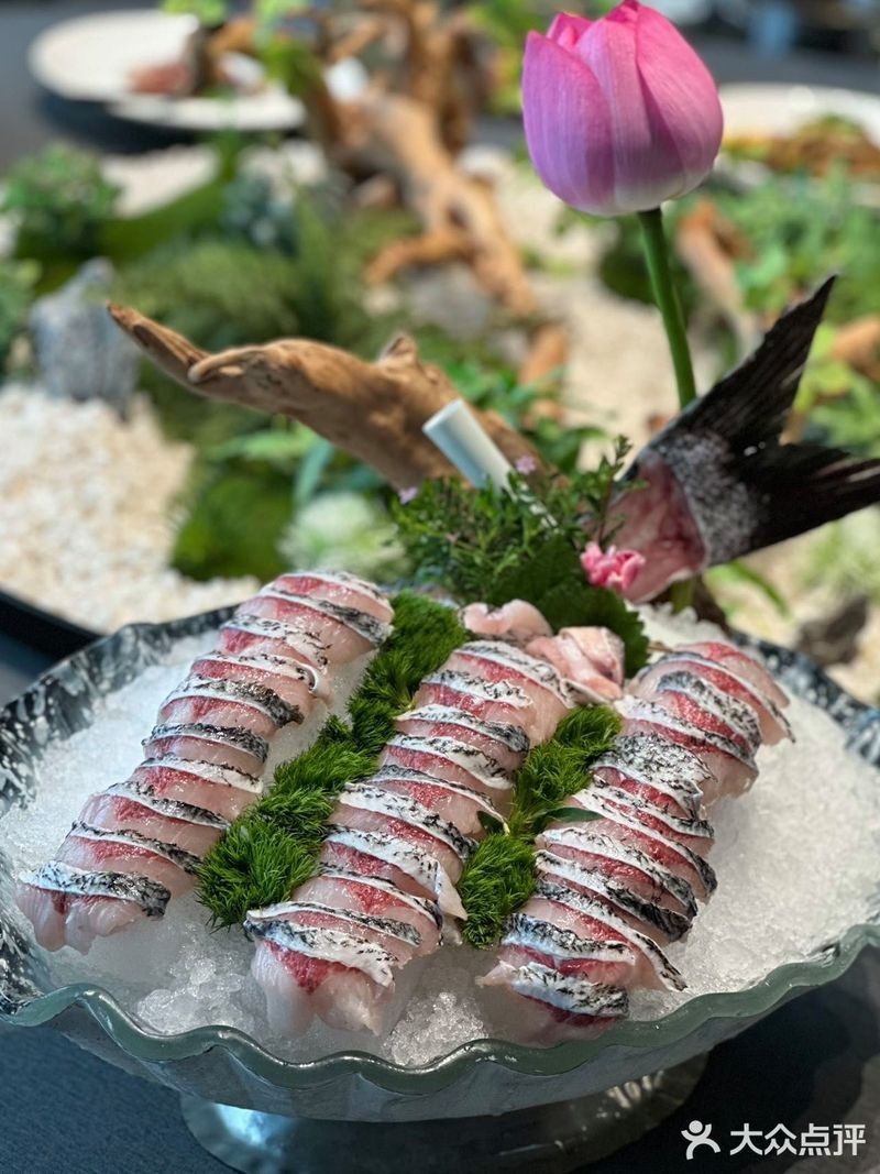 秦安龍魚(yú)店【秦安縣有沒(méi)有秦安本地的龍魚(yú)店】