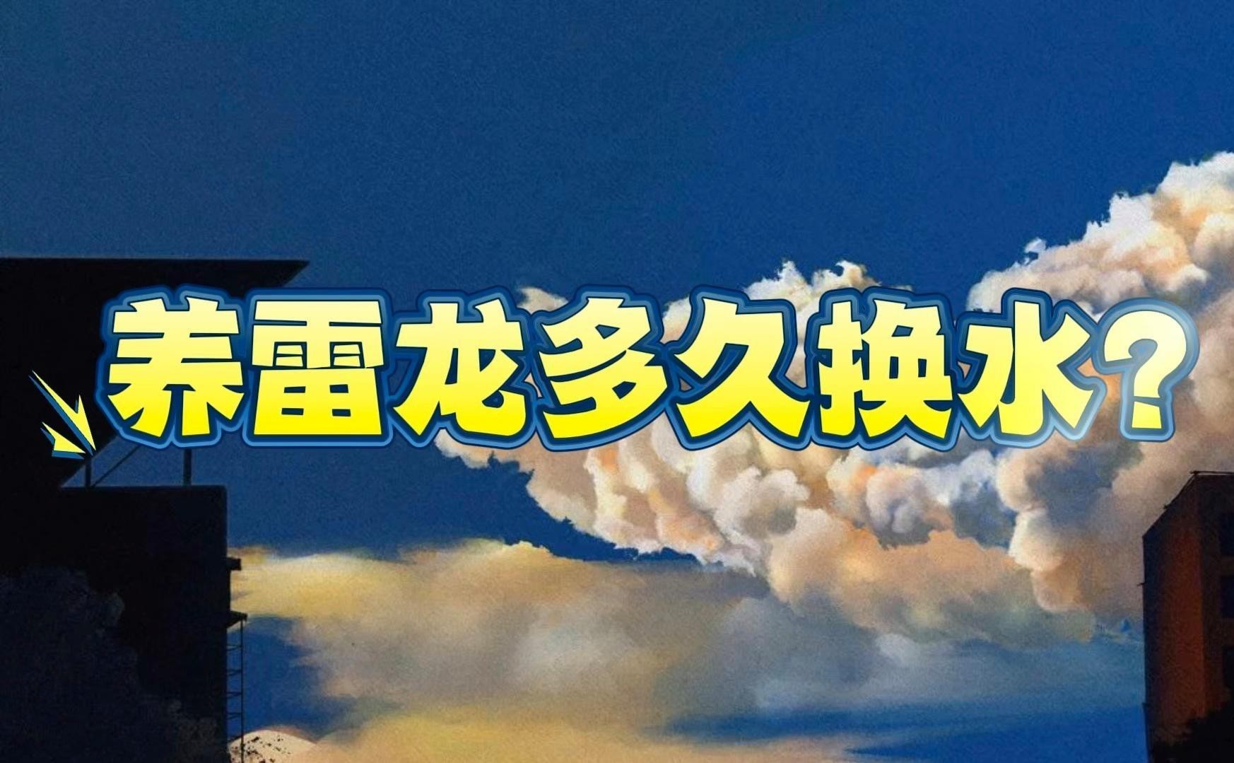 雷龍魚多久換一次水【雷龍魚如何換水有哪些注意事項】