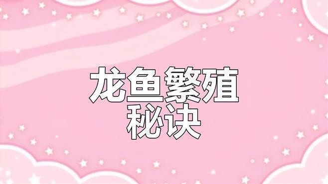 龍魚飼養(yǎng)需要什么樣的過濾系統(tǒng)？【嗶哩嗶哩龍魚繁殖全解析,過濾系統(tǒng)大揭秘!】 龍魚飼養(yǎng)需要什么樣的過濾系統(tǒng)？【嗶哩嗶哩龍魚繁殖全解析,過濾系統(tǒng)大揭秘!】 龍魚論壇 第2張