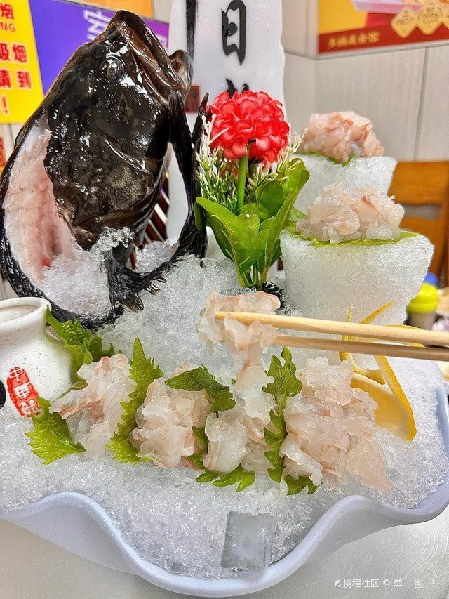 西華龍魚店【廣州西華路龍魚店】