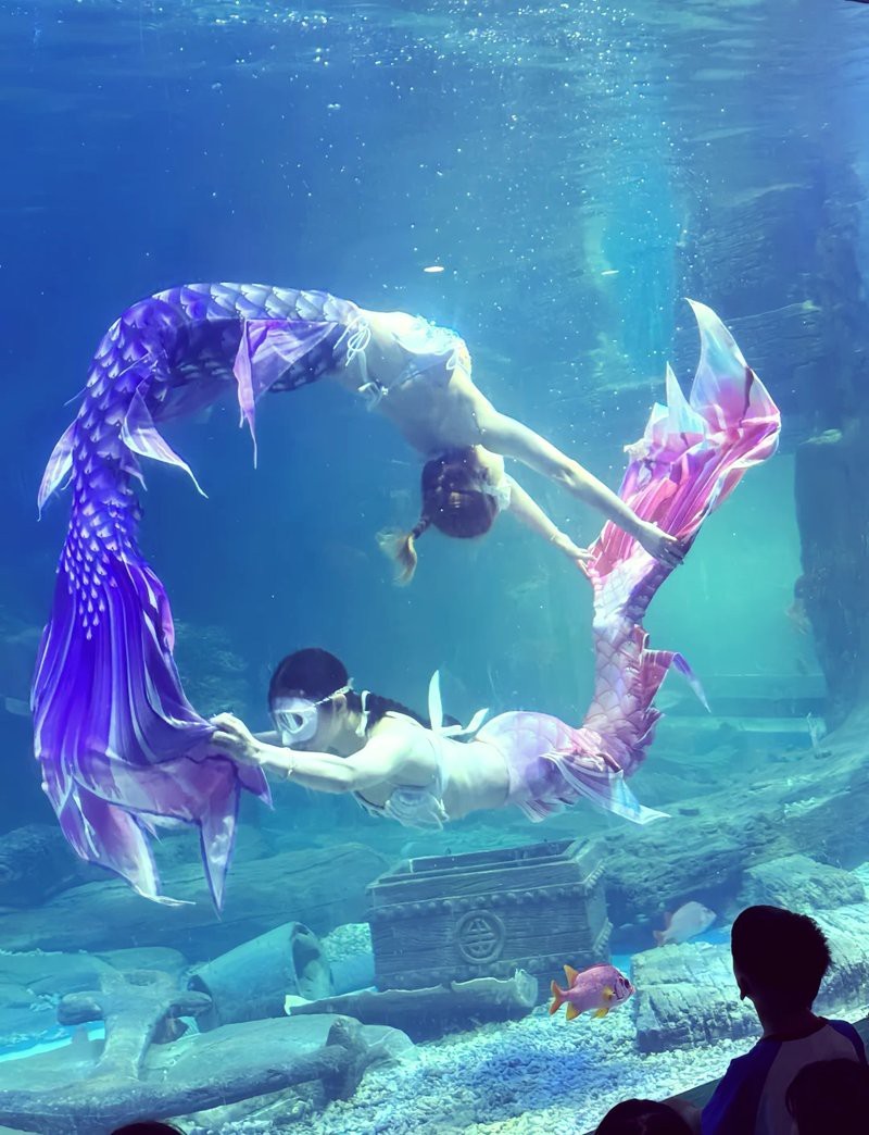 鄂州水族店【鄂州水族店哪家好】 全國水族館企業名錄 第5張 鄂州水族店【鄂州水族店哪家好】 鄂州水族店【鄂州水族店哪家好】 全國水族館企業名錄 第5張