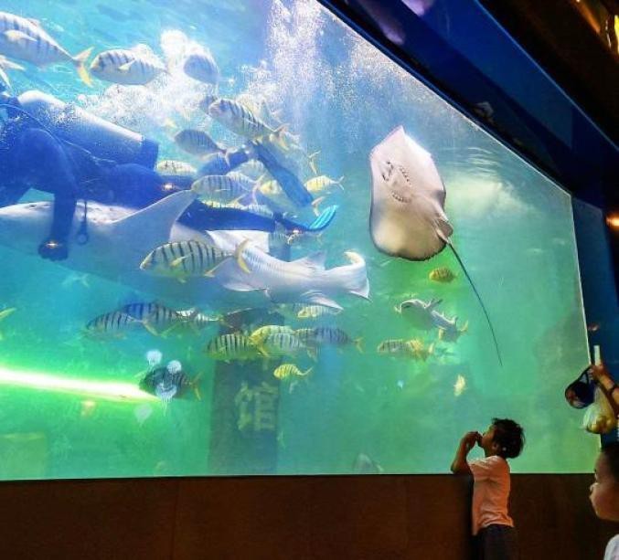 鄂州水族店【鄂州水族店哪家好】 鄂州水族店【鄂州水族店哪家好】 全國水族館企業名錄 第11張