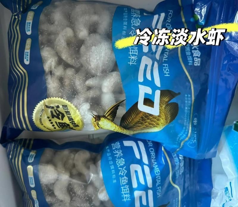 狗頭魚怎么養【如何挑選健康的狗頭魚】 龍魚論壇 第6張 狗頭魚怎么養【如何挑選健康的狗頭魚】 狗頭魚怎么養【如何挑選健康的狗頭魚】 龍魚論壇 第6張