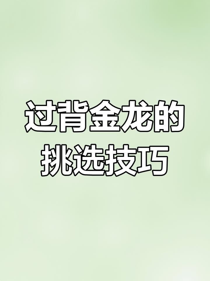 如何選購高品質的過背金龍？【如何挑選高品質過背金龍】
