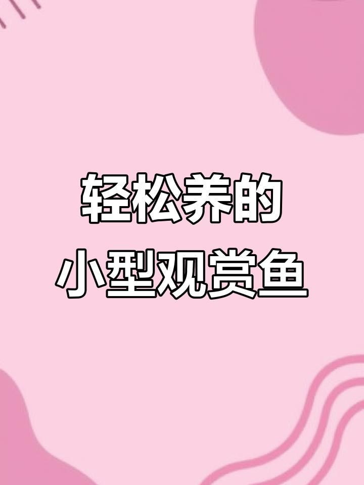 迷你小型觀賞魚【《迷你小型觀賞魚：水中的精靈》**，迷你小型觀賞魚盤點】