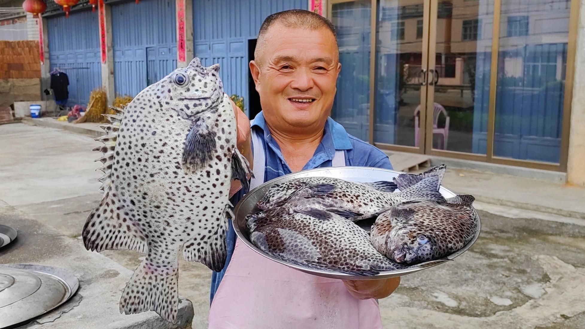 花斑魚哪個好【《花斑魚哪個好》】