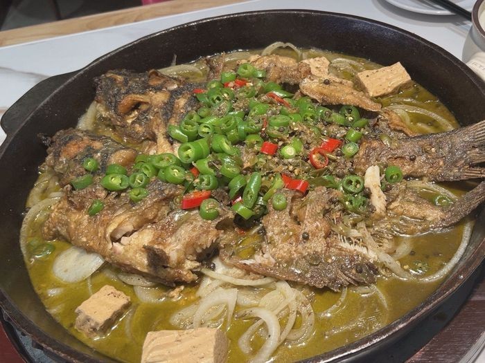 湟中龍魚店【夢幻水族龍魚會館湟中龍魚店哪家口碑最好】