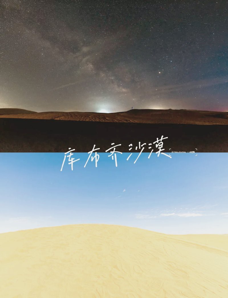 杭錦旗龍魚店【《杭錦旗龍魚店：水族世界的奇妙角落》】