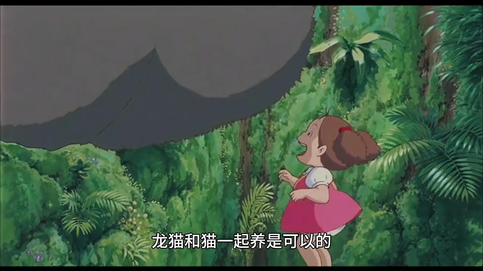 龍貓和貓可以一起養嗎？【龍貓和貓可以一起養嗎】
