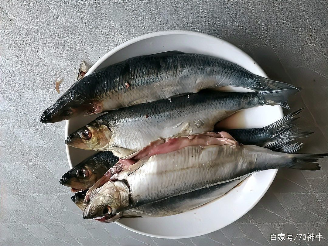 鯖魚市場價多少錢一斤【鯖魚市場價格分析與消費指南】