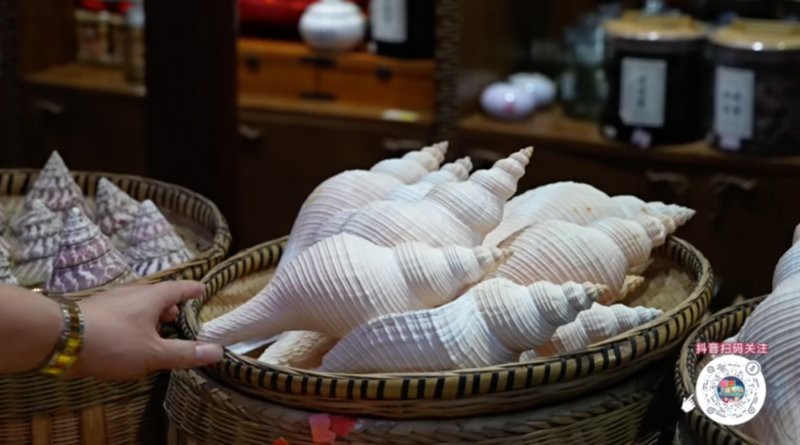 潮安龍魚店【潮安龍魚店——水族世界的奇妙角落】