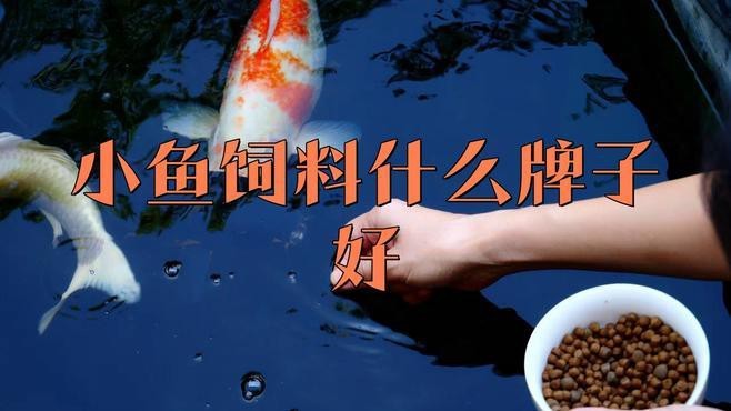 孔雀魚糧最好三個品牌【孔雀魚糧哪個牌子好】